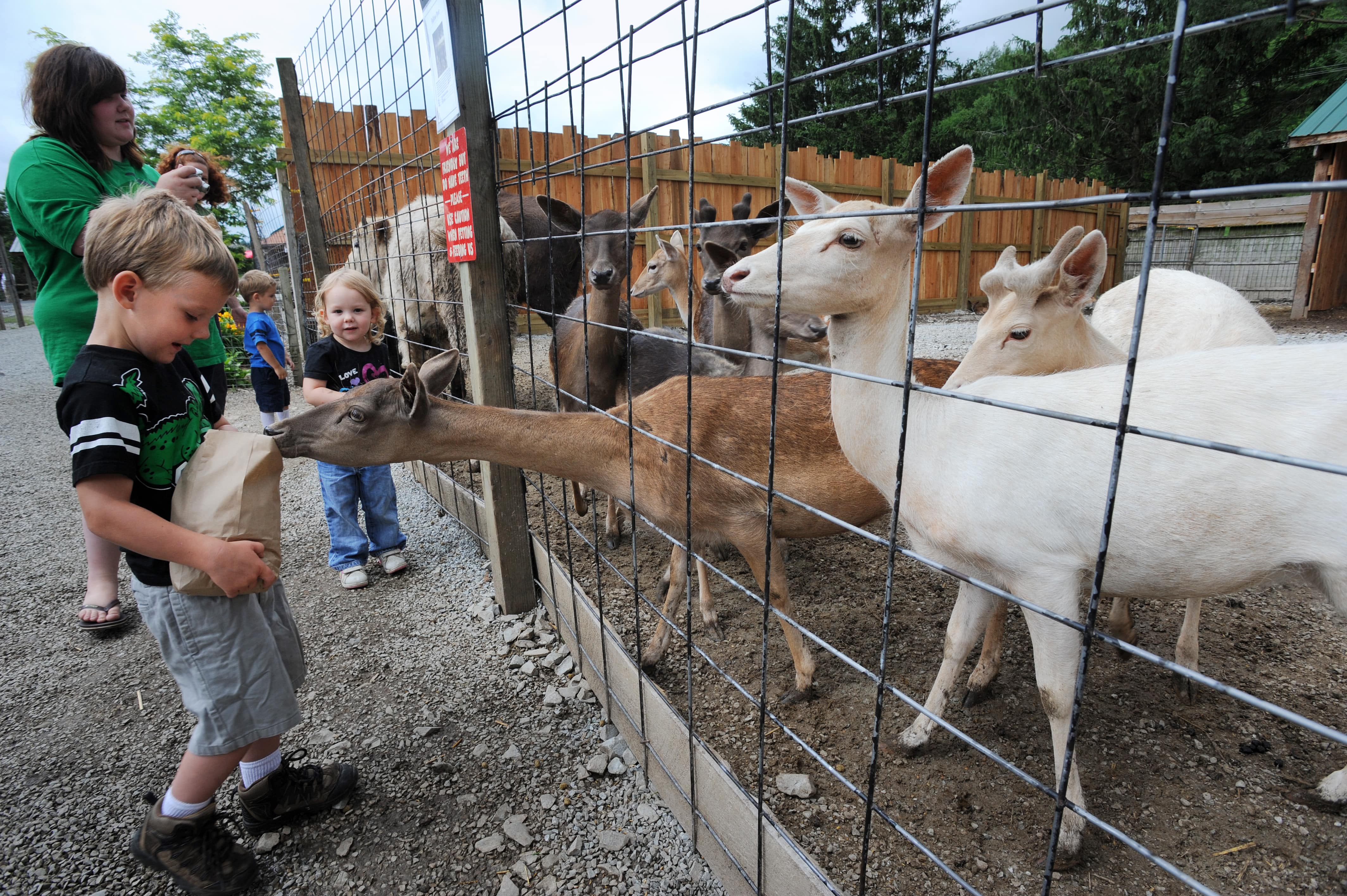 Living Treasures Animal Park (Jones Mills) visitPA